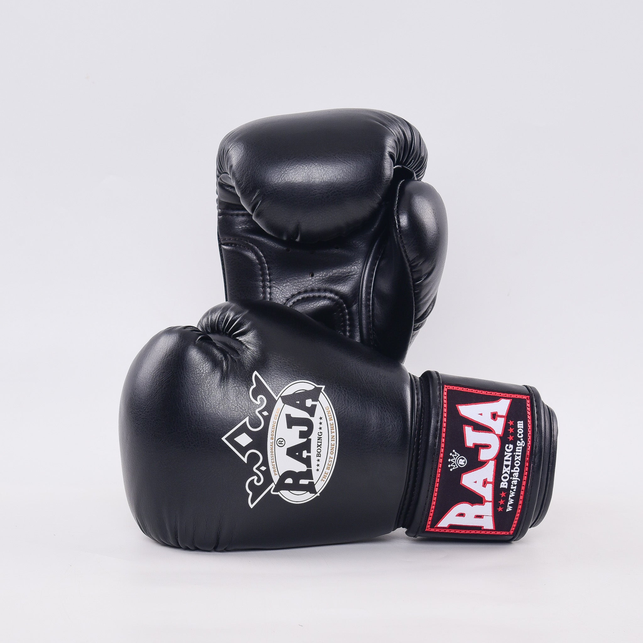 Raja Standard Boxing Gloves Leather- כפפות איגרוף ראג׳ה עור מלא