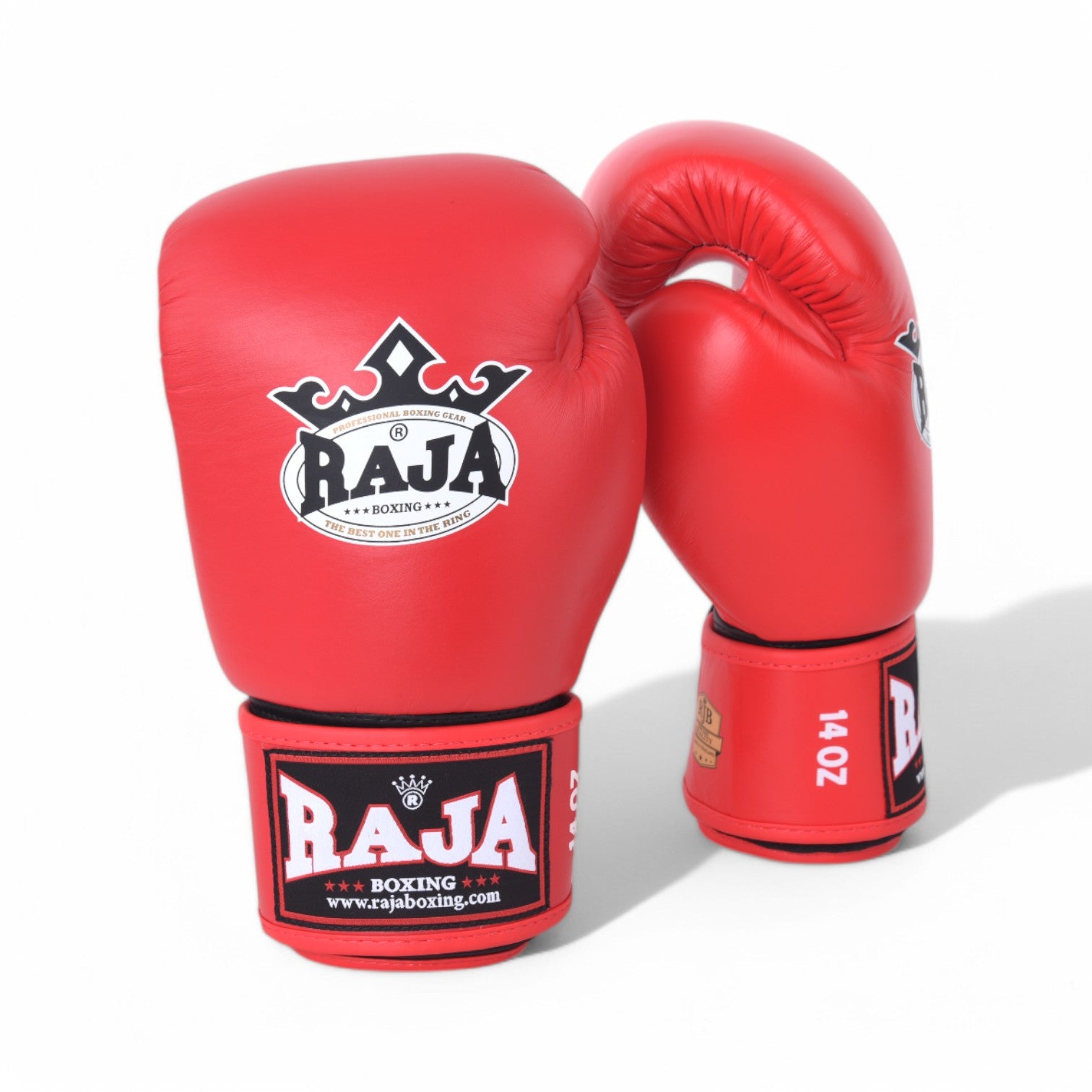 Raja Standard Boxing Gloves Leather- כפפות איגרוף ראג׳ה עור מלא