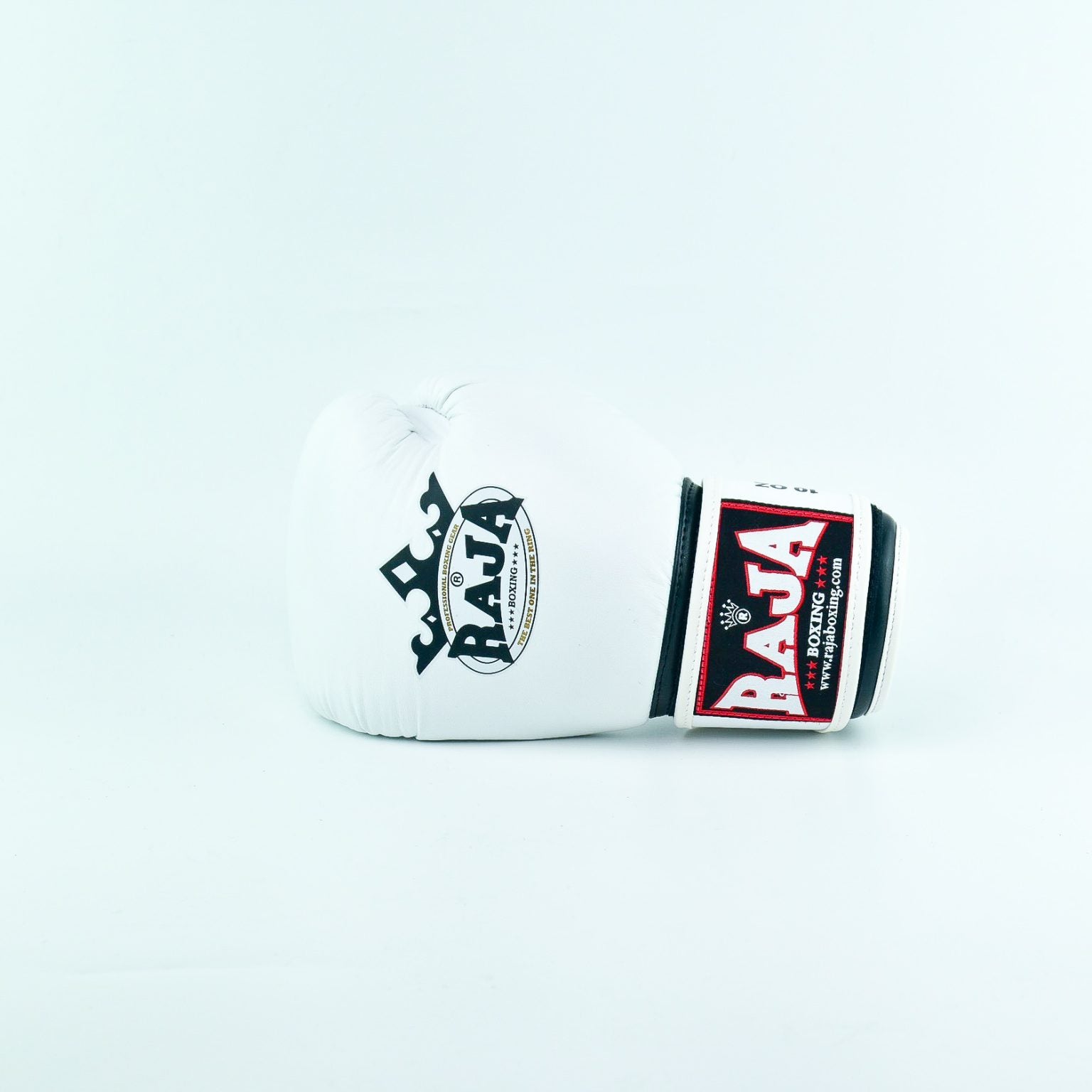 Raja Standard Boxing Gloves Leather- כפפות איגרוף ראג׳ה עור מלא
