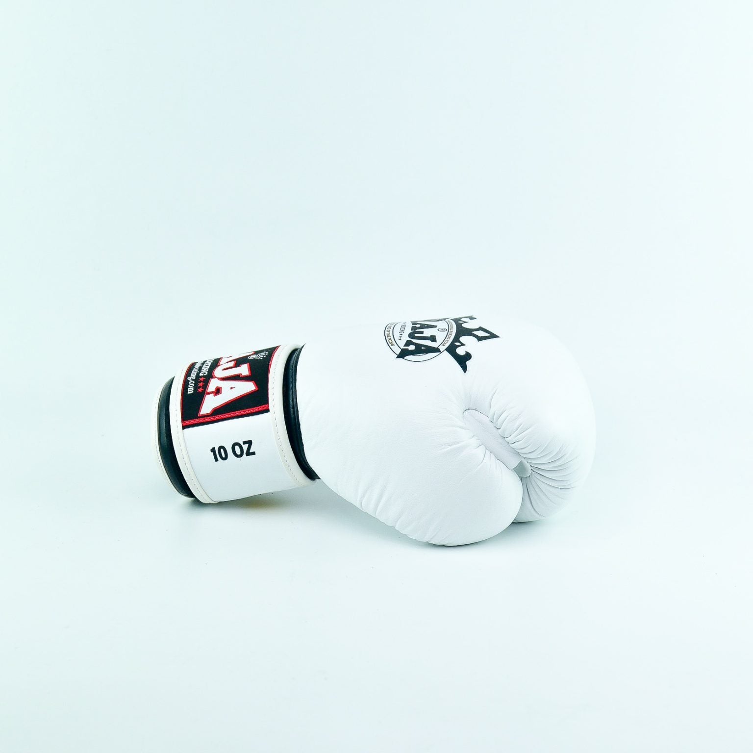 Raja Standard Boxing Gloves Leather- כפפות איגרוף ראג׳ה עור מלא