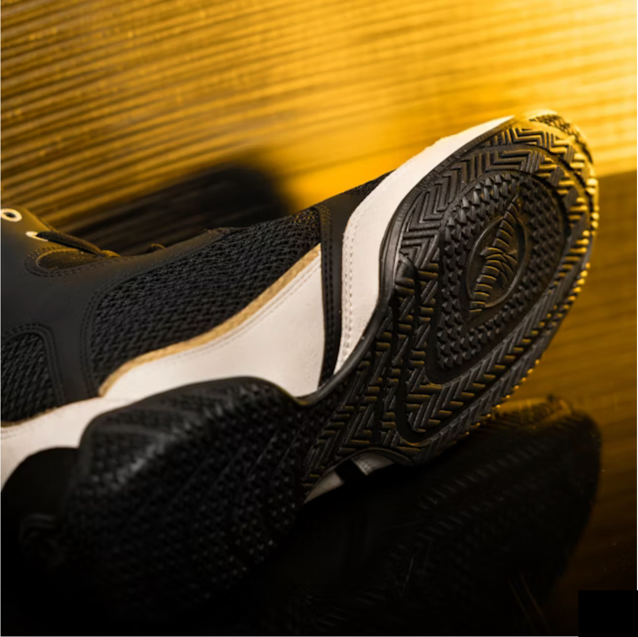 Mayweather Champ Boxing Shoes