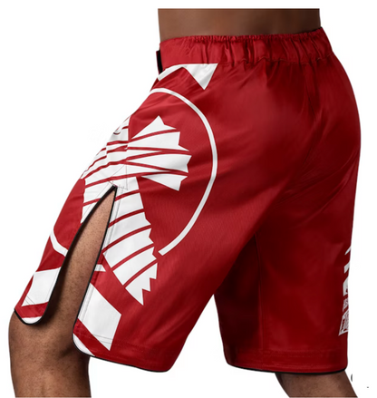 Hayabusa Icon MMA Shorts
