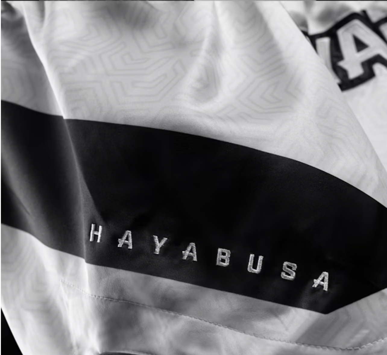 Hayabusa Core Muay Thai Shorts - מכנסי איגרוף תאילנדי היאבוסה